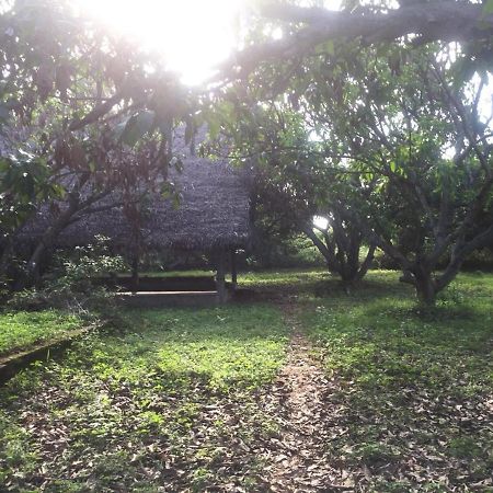 Art Forest Hotel Auroville Ngoại thất bức ảnh