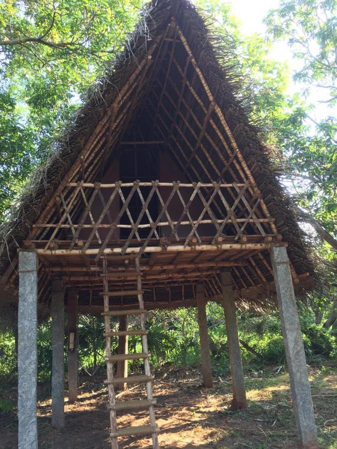 Art Forest Hotel Auroville Ngoại thất bức ảnh