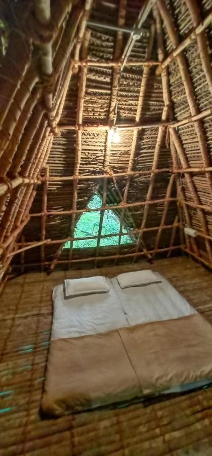Art Forest Hotel Auroville Ngoại thất bức ảnh