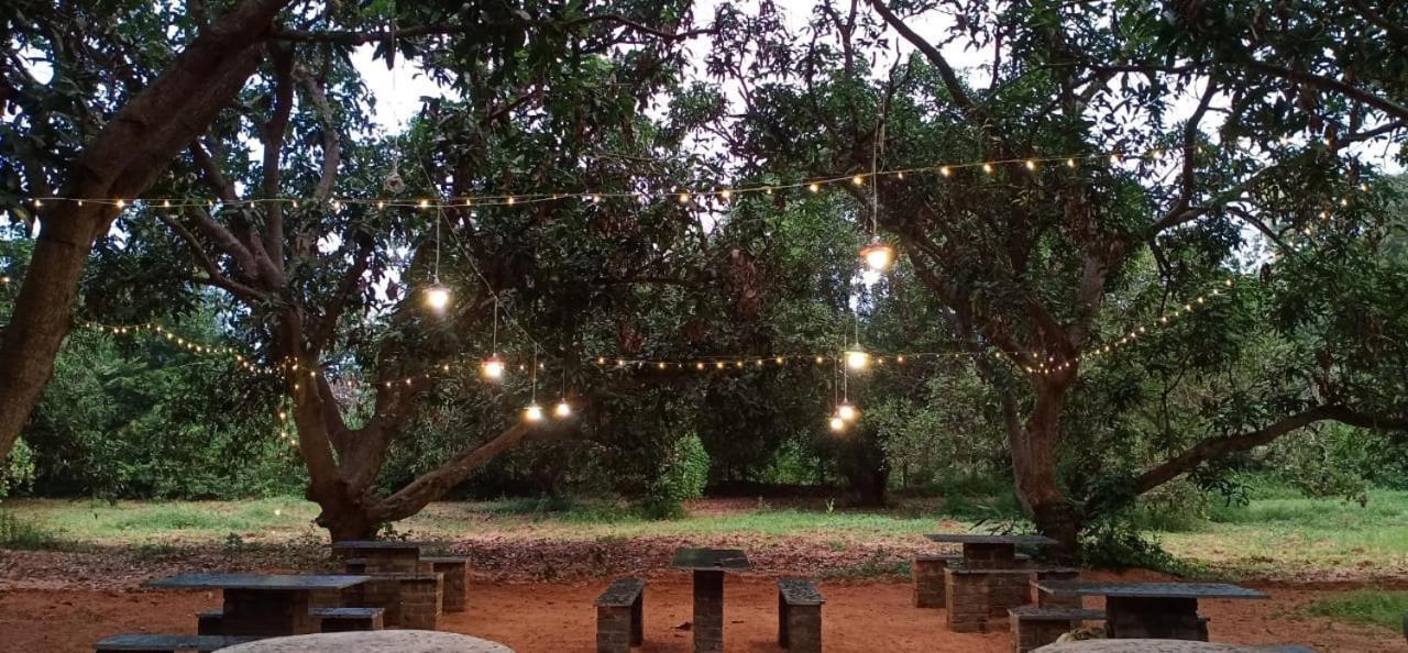Art Forest Hotel Auroville Ngoại thất bức ảnh