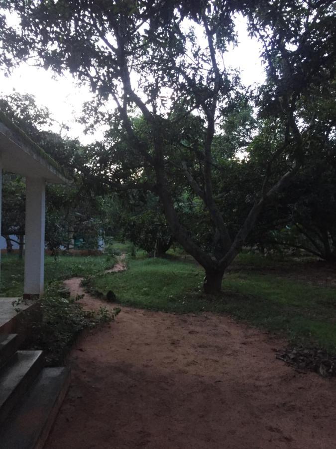 Art Forest Hotel Auroville Ngoại thất bức ảnh