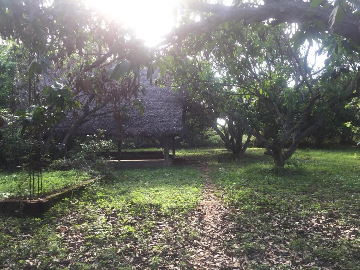 Art Forest Hotel Auroville Ngoại thất bức ảnh