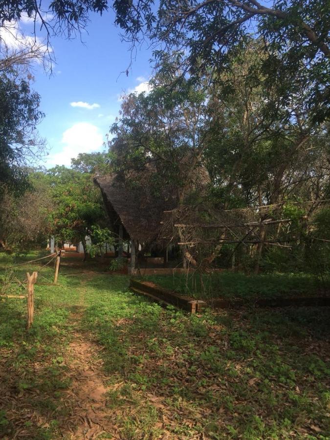 Art Forest Hotel Auroville Ngoại thất bức ảnh