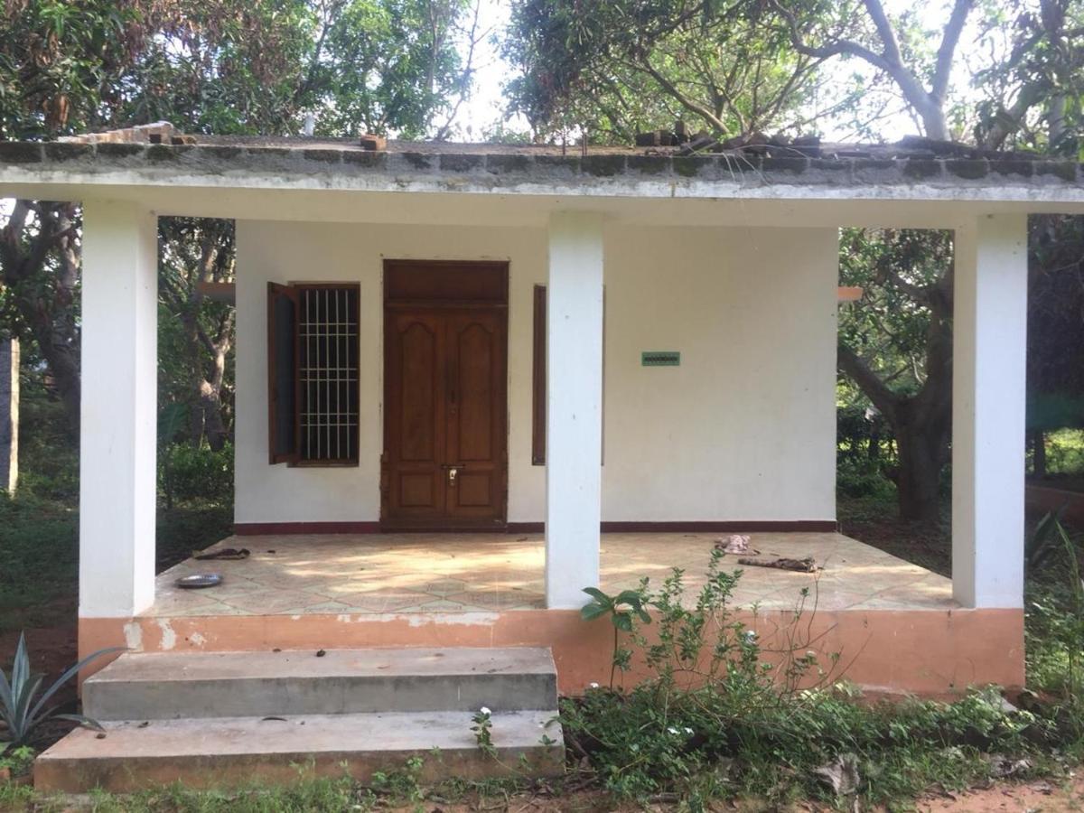 Art Forest Hotel Auroville Ngoại thất bức ảnh