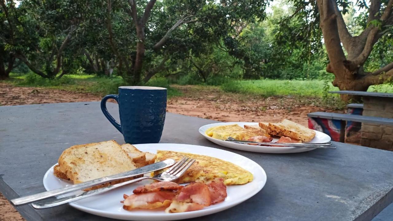 Art Forest Hotel Auroville Ngoại thất bức ảnh