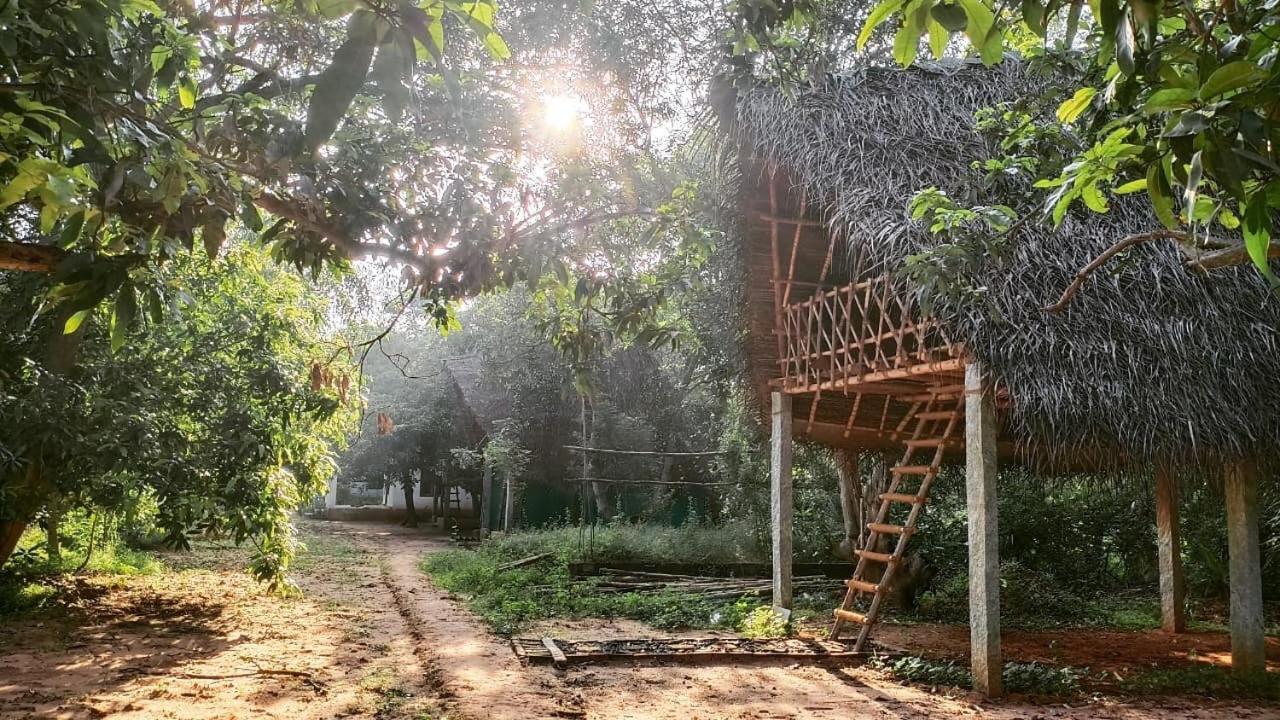 Art Forest Hotel Auroville Ngoại thất bức ảnh