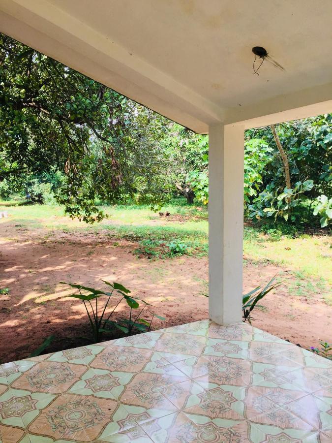 Art Forest Hotel Auroville Ngoại thất bức ảnh