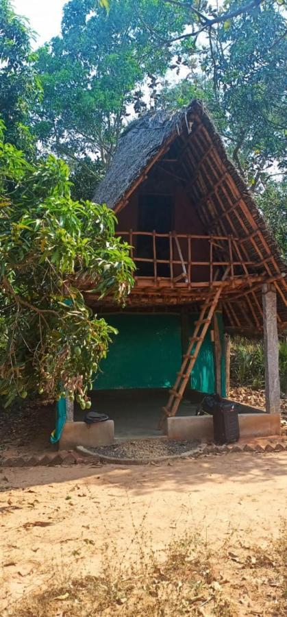 Art Forest Hotel Auroville Ngoại thất bức ảnh